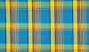 Madras Check Fabric | Blue