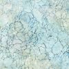 Robert Kaufman Fabric | Artisan Batiks: Paterns In Nature 22681-435