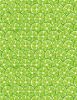 Squeeze Of The Day | Citrus Slices Green