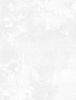 Dry Brush Extra Wide Fabric | White On White