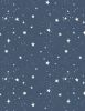 Reach For The Stars Fabric | Stars All Over Navy