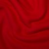 AntiPil Polar Fleece | Red