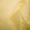 Classic Crystal Organza | Gold