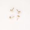Upholstery Nails |15mm, Brass | Multi Pack Options