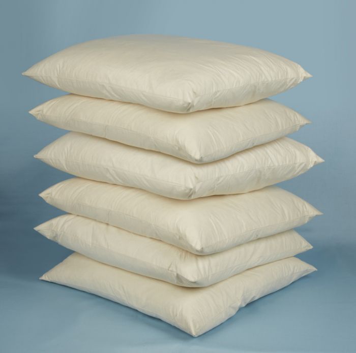 Feather Cushion Inners