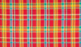 Madras Check Fabric | Red