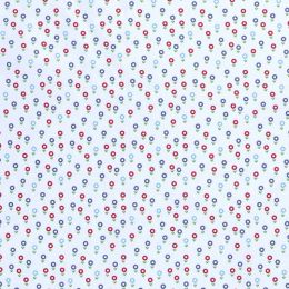 Cotton Print Fabric | Flower Path Sky Blue