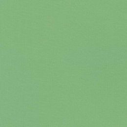 Robert Kaufman Kona Cotton Fabric | Celadon