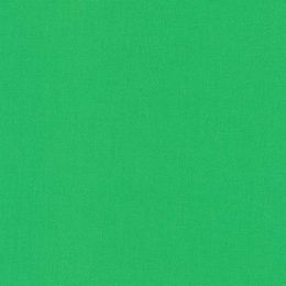 Robert Kaufman Kona Cotton Fabric | Fern