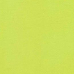 Robert Kaufman Kona Cotton Fabric | Cactus