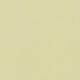 Robert Kaufman Kona Cotton Fabric | Eucalyptus