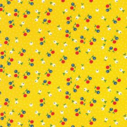 Robert Kaufman Fabric | Flowerhouse: Playful - 22297-242