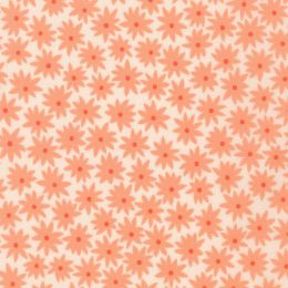 Robert Kaufman Fabric | Paintbox - Elizabeth Hartman 19683-376