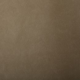 FR Leathercloth Fabric | Beige