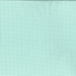 Berkshire Yarn Dyed Cotton Gingham Fabric, 3mm | Mint