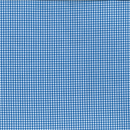 Berkshire Yarn Dyed Cotton Gingham Fabric, 3mm | Royal