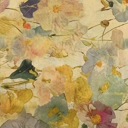 Cotton Lawn Digital Print | Poppies Gold