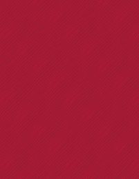 Happy Hearts Fabric | Diagonal Stripe Red