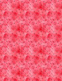 Squeeze Of The Day | Seeds Red