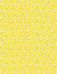 Squeeze Of The Day | Citrus Slices Yellow