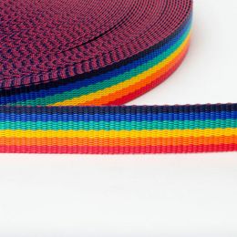 Classic Webbing 25mm | Pride (6 colour)